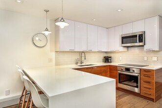 205 E Durant Ave-Unit -2J in Aspen, CO - Building Photo - Building Photo