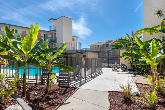 University Manor Apartments in Los Angeles, CA - Building Photo - Building Photo