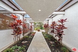 3135 Chandelle Rd in Los Angeles, CA - Building Photo - Building Photo