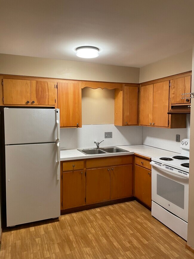 1325 Fair Street, Unit #1 in Mankato, MN - Building Photo - Building Photo