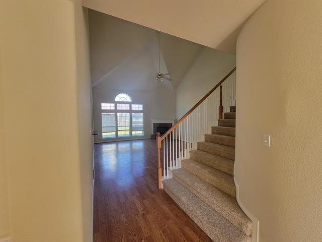 15204 Palo Pinto Dr in Frisco, TX - Building Photo - Building Photo