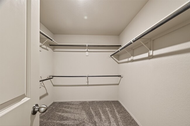 property at 23506 Umbrella Pine Dr