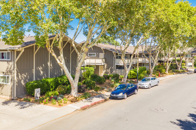 Latham Square in Mountain View, CA - Building Photo - Building Photo