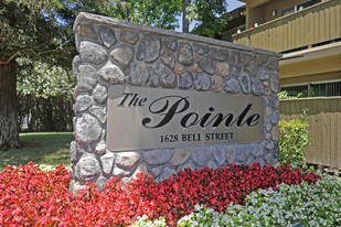 The Pointe On Bell Apartments