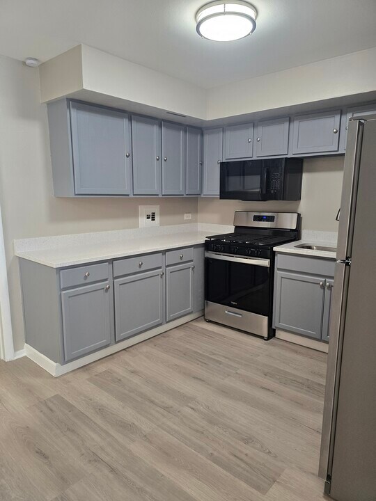 135 Dover Dr, Unit Dover condo in Des Plaines, IL - Foto de edificio