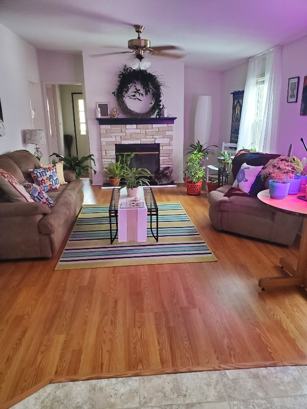 property at 64 N Burning Tree Dr