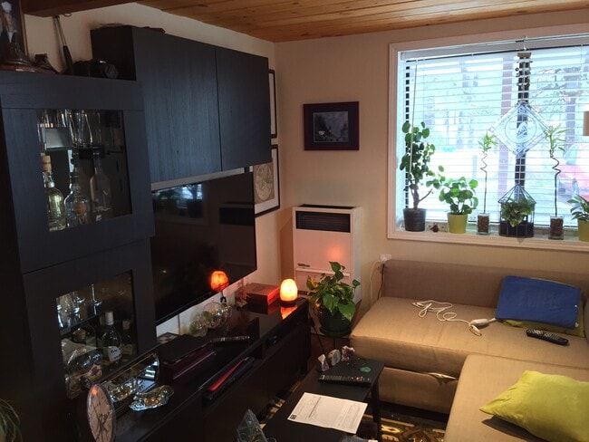 54042 Pine Crest Ave in Idyllwild, CA - Building Photo - Building Photo