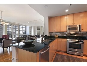 250 E Pearson St in Chicago, IL - Building Photo - Building Photo