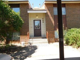 805 E Cedar Ct in Fruita, CO - Building Photo