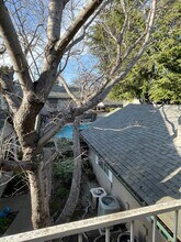 1125 Sheridan Ave in Chico, CA - Building Photo - Building Photo