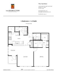 The Hamilton Luxury Apartments - 12