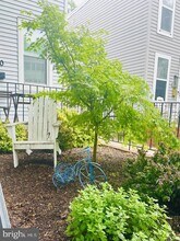 1520 Constitution Ave NE in Washington, DC - Building Photo - Building Photo