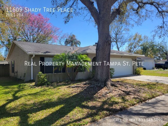 property at 11609 Shady Tree Pl