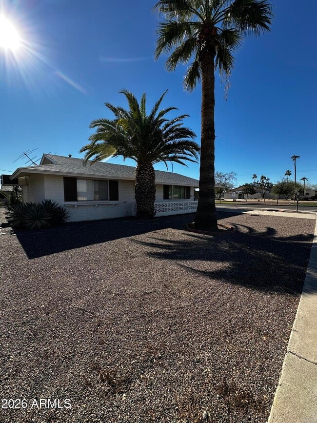 10643 W Snead Dr in Sun City, AZ - Building Photo - Building Photo
