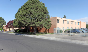 Pine Park Apartments in Albuquerque, NM - Building Photo