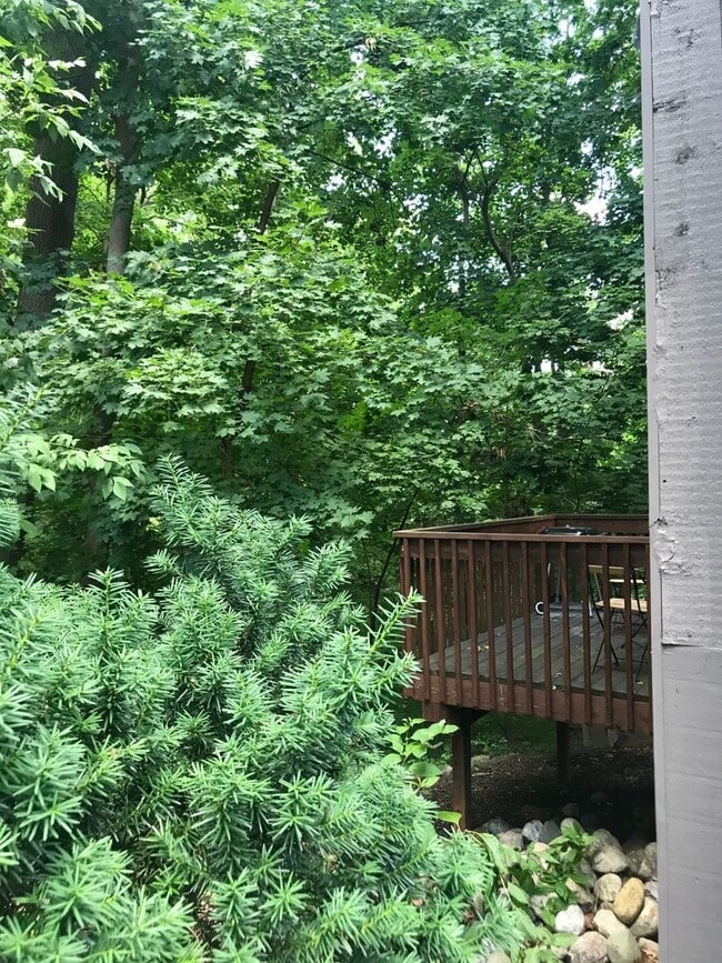 106 Tulip Tree Ct in Ann Arbor, MI - Building Photo - Building Photo