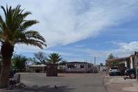 Amphi Village in Tucson, AZ - Building Photo - Building Photo