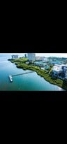 5302 Bay Club Cir, Unit 5302 in Tampa, FL - Building Photo