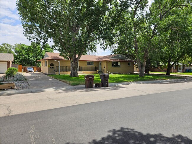 2 Bed 1 Bath in Fort Collins