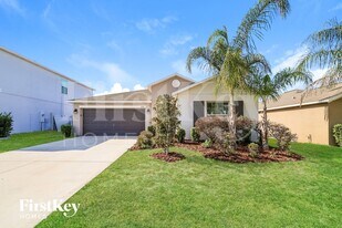 10512 Strawberry Tetra Dr in Riverview, FL - Building Photo
