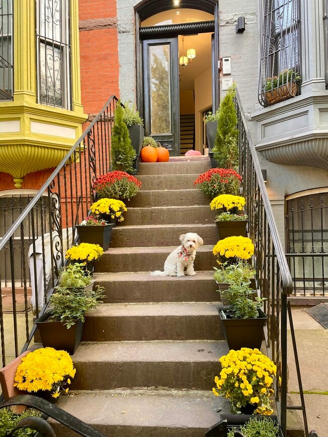 property at 908 Sterling Pl