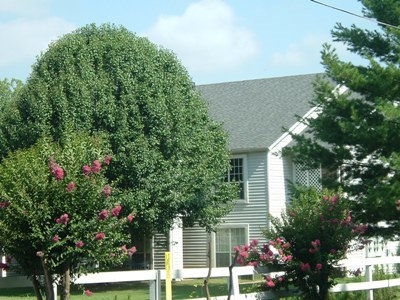 Post House in Dyersburg, TN - Building Photo - Building Photo