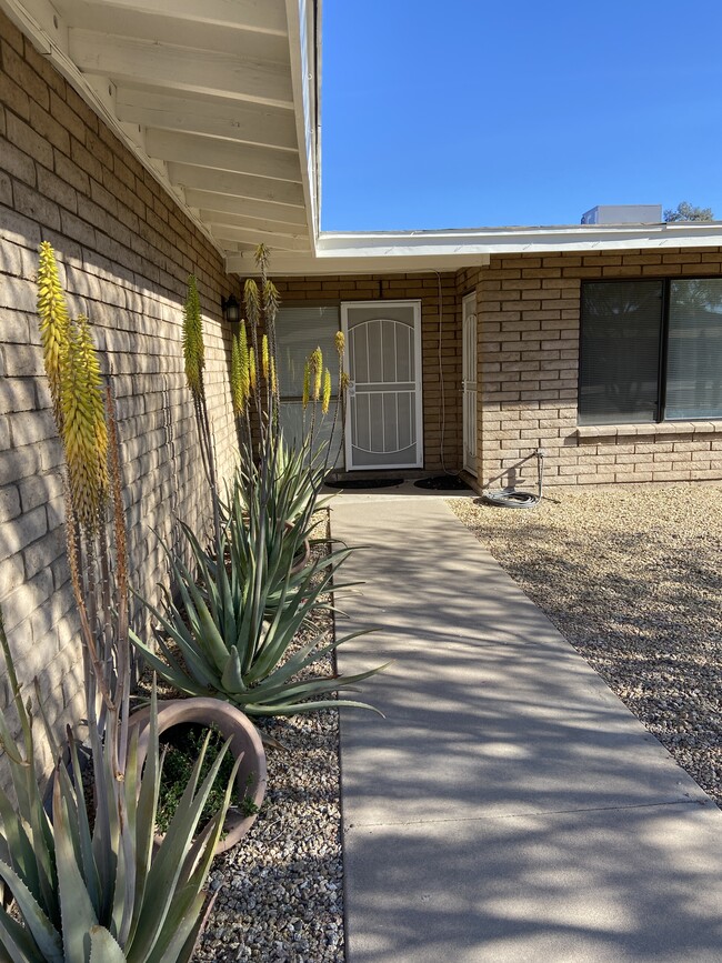property at 4612 E Camino St