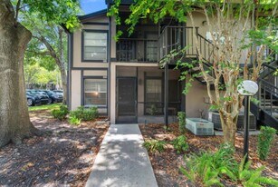 4004 Dream Oak Pl in Tampa, FL - Building Photo