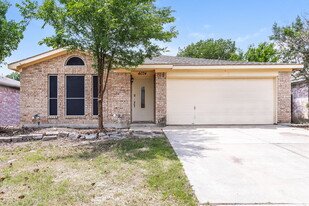 4074 Tulip Tree Dr in Fort Worth, TX - Building Photo