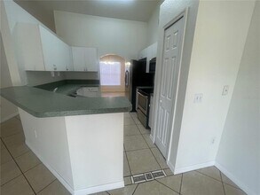 24 Sawfish Ct in Kissimmee, FL - Building Photo - Building Photo
