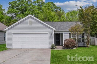 13119 Young Fawn Ct in Charlotte, NC - Building Photo