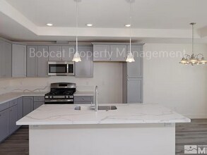 909 Saltbrush Rd in Dayton, NV - Building Photo - Building Photo