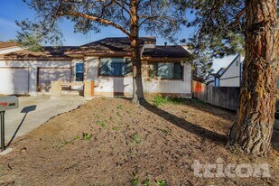 3224 Danville Dr in Sparks, NV - Building Photo