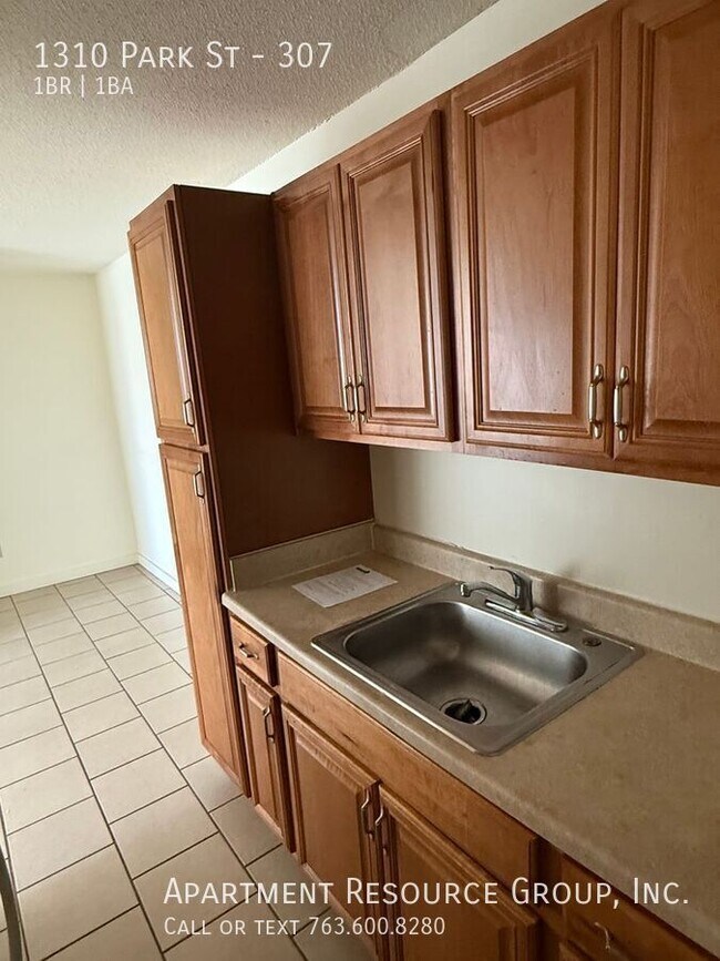 1310 N Park St in St. Paul, MN - Foto de edificio - Building Photo