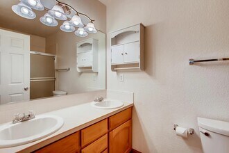 1036 Tierra Ln in Fort Collins, CO - Building Photo - Building Photo