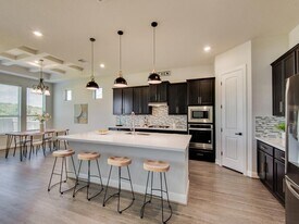 204 Pulitzer Dr in Hutto, TX - Building Photo