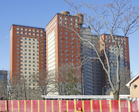 Luna Park in Brooklyn, NY - Building Photo - Building Photo