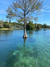 9938 N Athenia Dr in Citrus Springs, FL - Building Photo - Building Photo