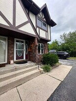 711 Wellington Dr in Dyer, IN - Building Photo