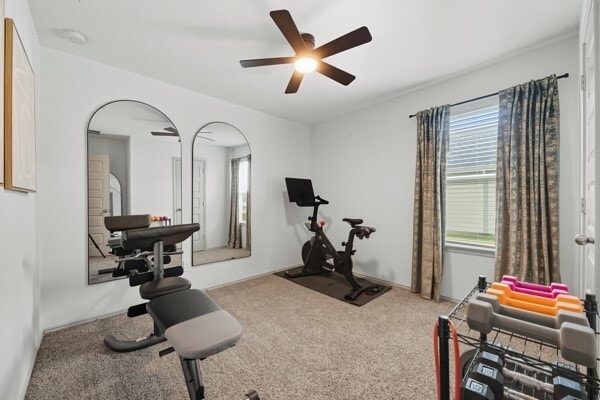 property at 1137 Buffalograss Trl