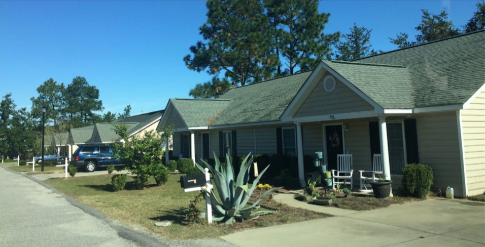 101 Poet Pl in Lexington, SC - Building Photo