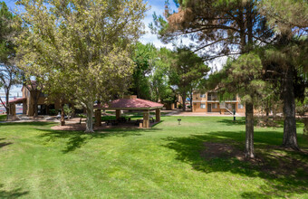 Desert Tree Apartment Homes in El Paso, TX - Building Photo - Building Photo