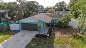 3324 Briarwood Ln in Safety Harbor, FL - Building Photo