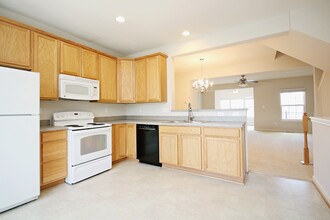 733 Rainier Rd in Charlottesville, VA - Building Photo - Building Photo