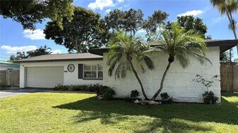 10380 Tangelo Rd in Seminole, FL - Building Photo