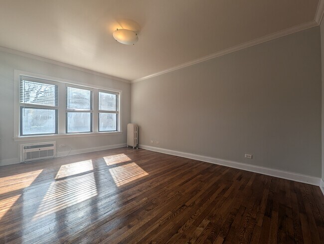 722 W Addison St, Unit S1 in Chicago, IL - Foto de edificio - Building Photo