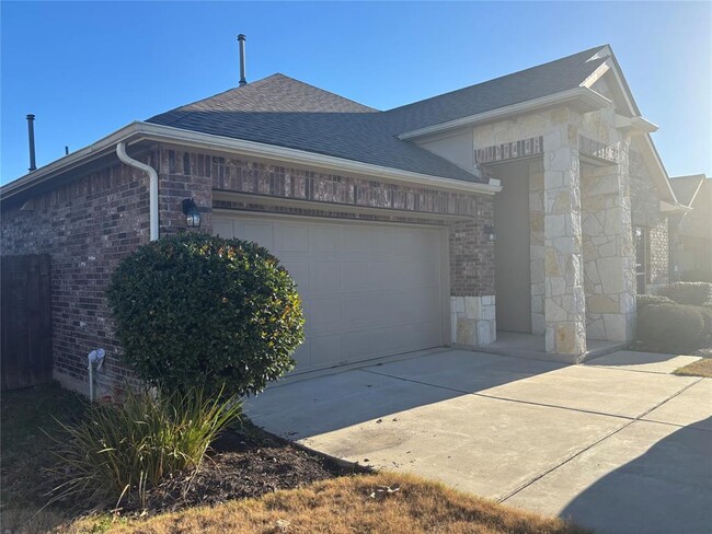 16408 Pienza Dr in Pflugerville, TX - Building Photo - Building Photo