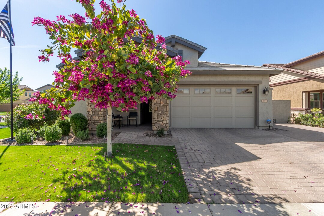 3873 E Appaloosa Rd in Gilbert, AZ - Building Photo