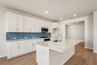 245 Ranier Wy in Dripping Springs, TX - Building Photo - Building Photo