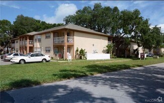 5551 Executive Dr in New Port Richey, FL - Building Photo